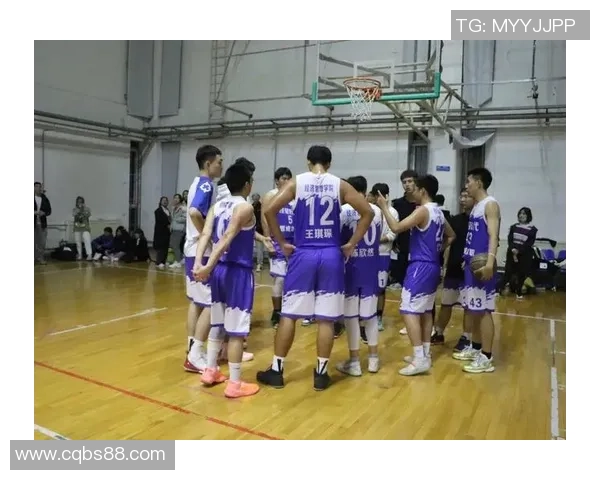 广州篮球队杯赛战术解析与表现评估全面分析